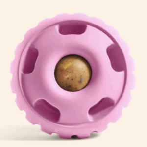 The Pupsicle Pink