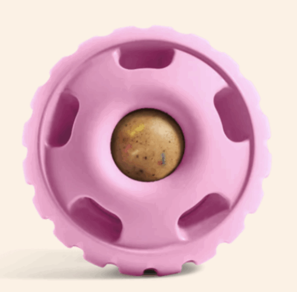 The Pupsicle Pink