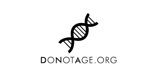 descarga-3-removebg-preview